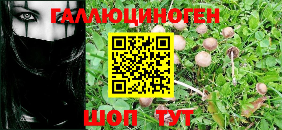 Псилоцибиновые грибы мицелий Ижевск