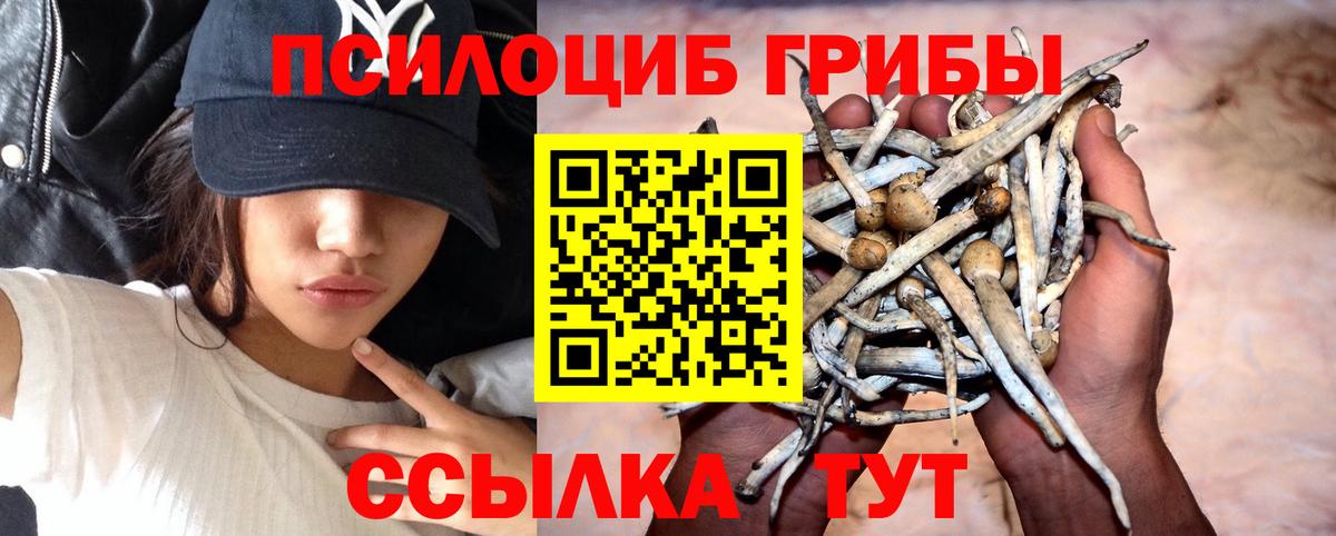 Ижевск  Галлюциногенные грибы Psilocybe  Вход с VPN  Галлюциногенные грибы прущие грибы 